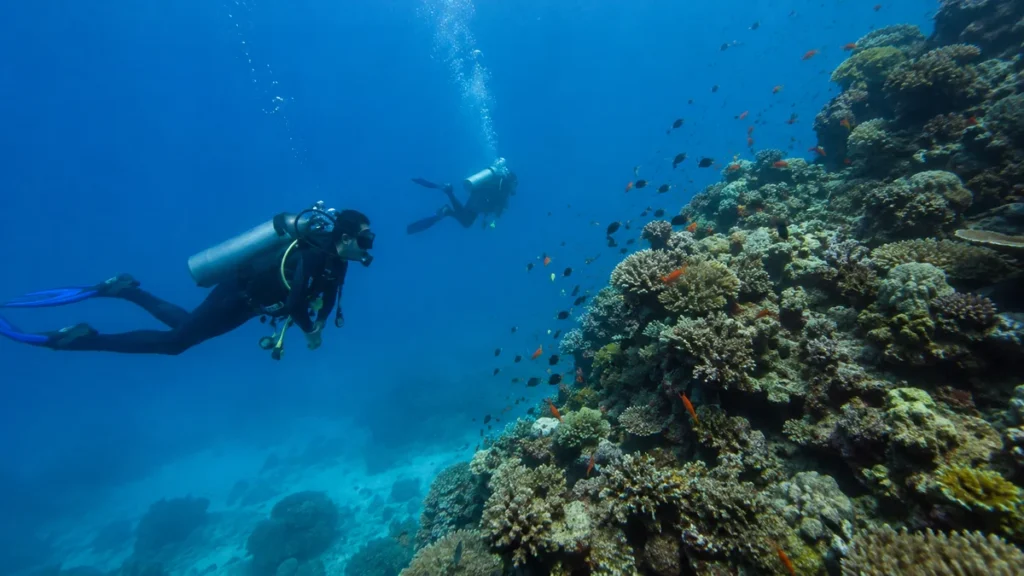 Perhentian Islands Travel Guide