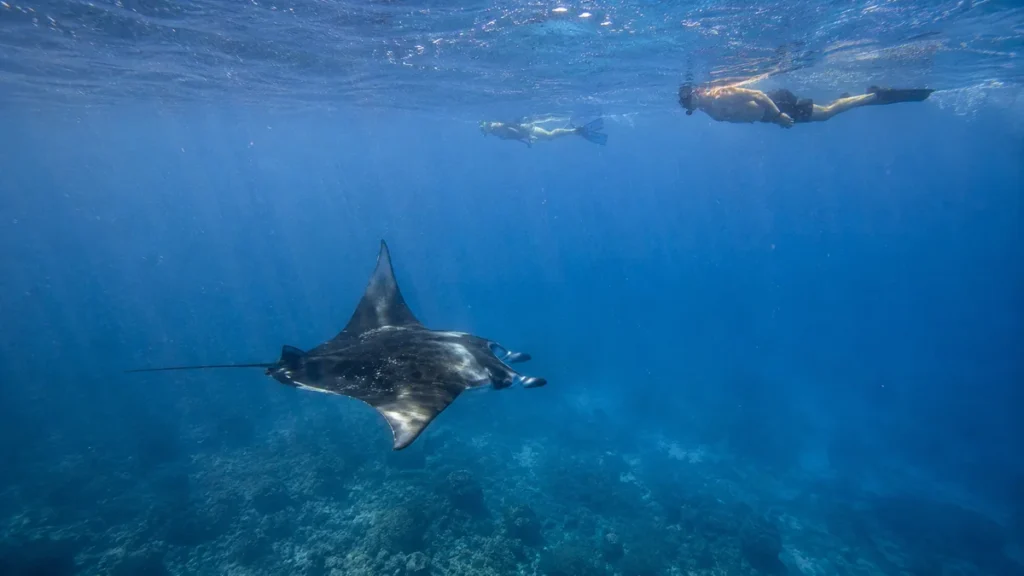 Things to Do in Nusa Penida